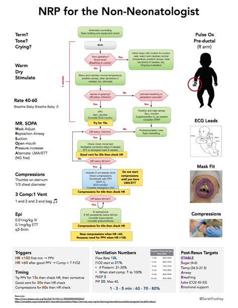 Neonatal Resuscitation Program (NRP) for the Non-NeonatologistMR ...