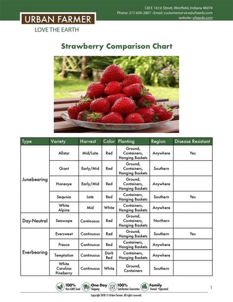 Strawberries Seed To Harvest | Food garden, Strawberry varieties ...