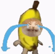 Banana Cat Gif - IceGif