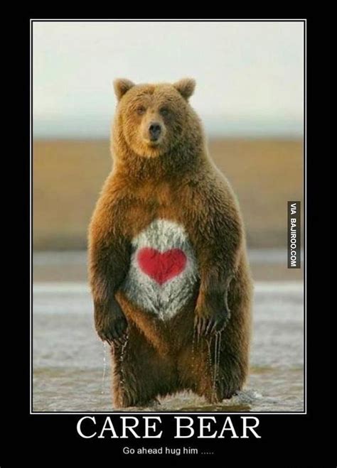 19 best images about Funny Bears on Pinterest | This morning, Happy ...