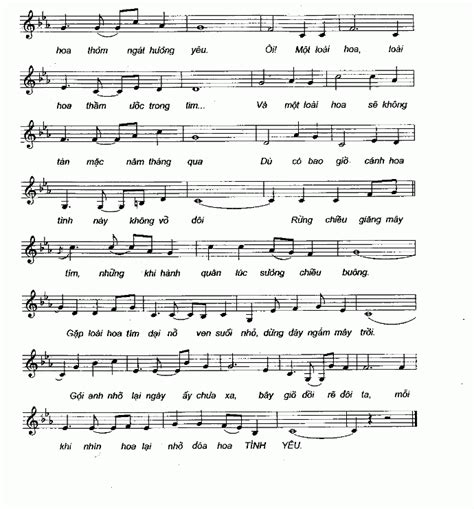 SHEET MUSIC FREE - Sheet PIANO FOR YOU ~ Sheet Nhạc Bài Loài Hoa Không Vỡ