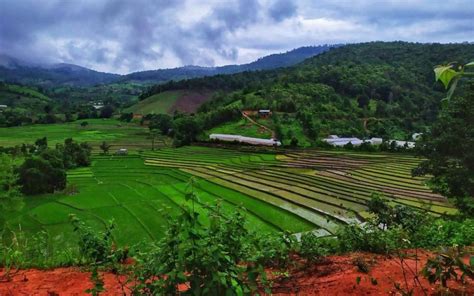 Chiang Mai rice terraces tour | Chiang Mai trekking