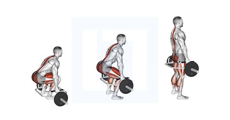 Trap Bar Deadlift - Guide, Benefits, and Form