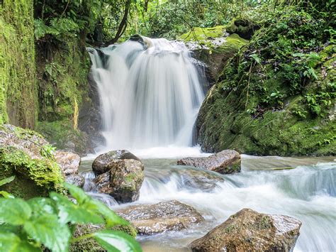 Waterfall in the Ecuadorian Jungle Photograph by Ashton MacIntyre - Pixels