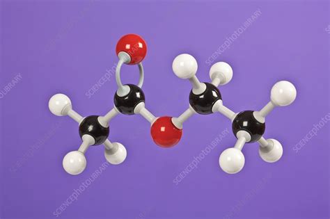 Ethyl ethanoate, molecular model - Stock Image - C014/6954 - Science ...