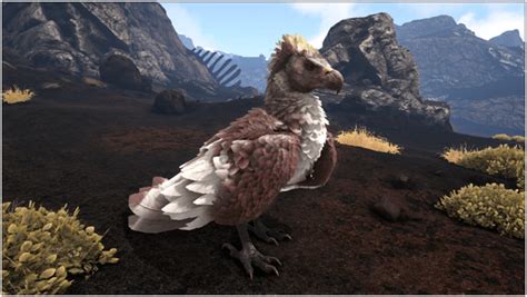 Ark Argentavis (Abilities, Taming, Food, Saddle, Breeding, Drops ...