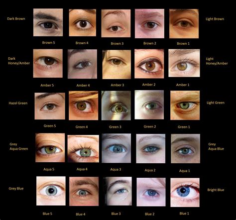 Eye Color Chart