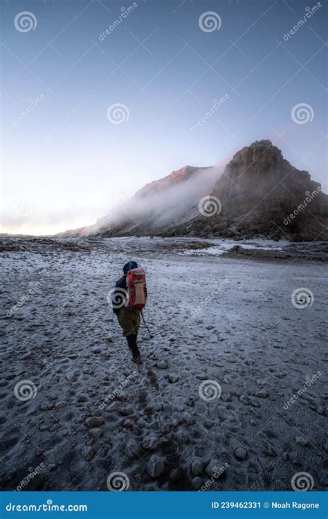 Mt. Kilimanjaro Sunrise stock image. Image of kiliwarriors - 239462331