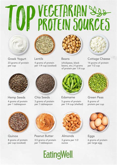 Top Vegetarian Protein Sources