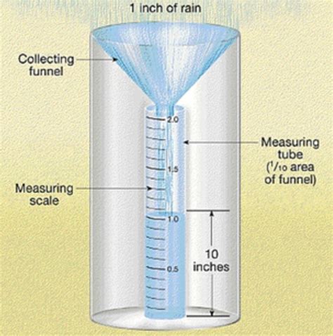 What is a Rain Gauge? Types, Use Cases, and Why They Matter | Maximum ...