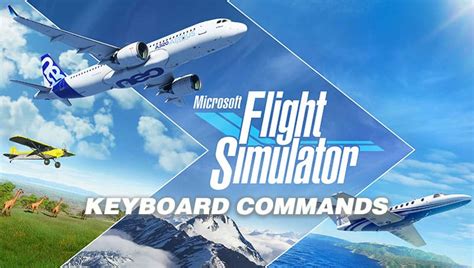 MSFS Controls Keyboard Commands - Flight Simulator Addon / Mod