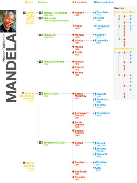 Nelson Mandela family tree - BBC News