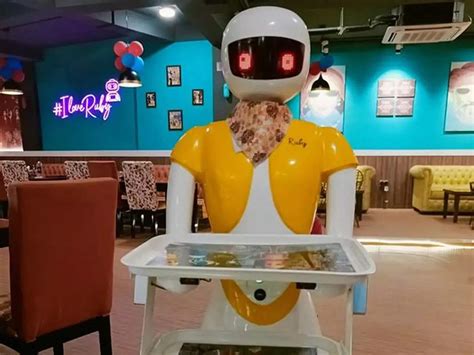 Robots serve food in new multi-cuisine restaurant in Noida