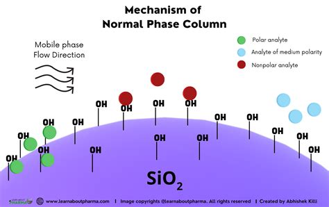 HPLC Columns – Definition, Principle, Types, and Maintenance