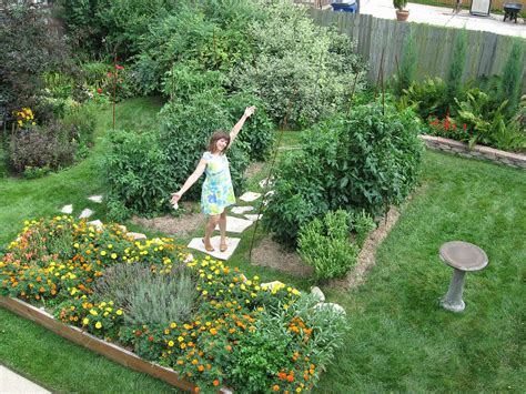 Backyard garden: 6-foot tomato plants, Racine, Wisconsin