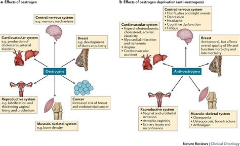 Estrogens are hormones that play central roles in the development and ...