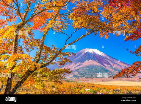 Fuji Five Lakes Japan Fall