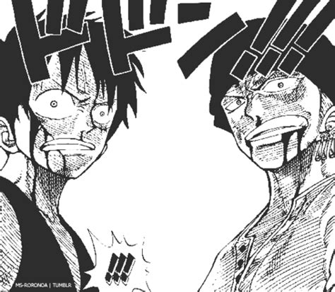 Zoro And Luffy Fight