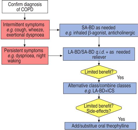 Standards for the diagnosis and treatment of patients with COPD: a ...