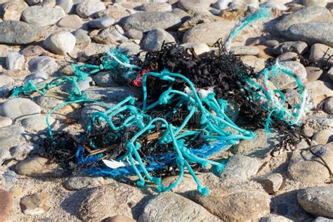 Rubbish on the beach stock image. Image of pollution - 117088421