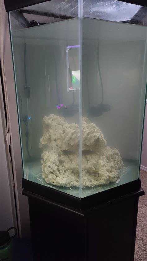 Isolation tank in cycle | Reef2Reef