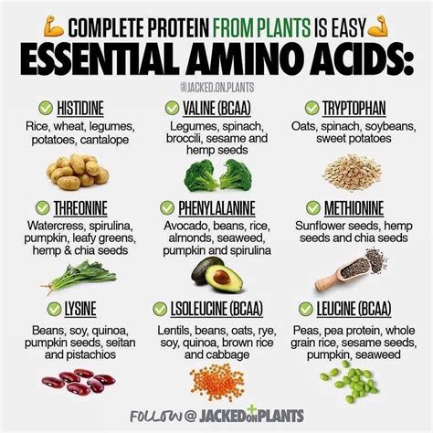 Essential Amino Acids Foods