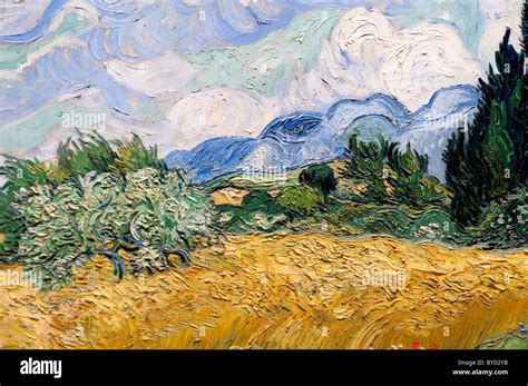 Detail: Wheat Field with Cypresses, 1889, by Vincent van Gogh Stock ...