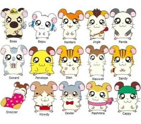 Hamtaro | Hamtaro, Cute drawings, Cute hamsters