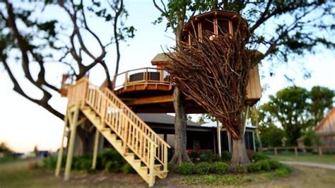 Behind The Build: Bird Nest Tree | Tree house, Treehouse masters, House ...