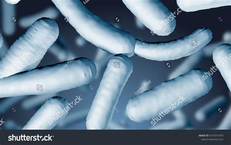 Lactobacilli Under Microscope Scientific 3d Medical Stock Illustration ...