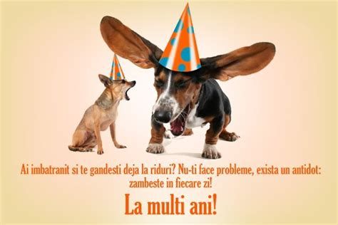 Urari si felicitari amuzante de „la multi ani” pentru Facebook | Love Site