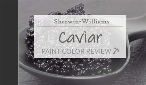 Sherwin Williams Caviar Review: Enhance Your Home with the Queen of ...