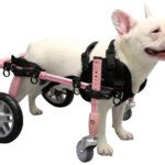 Dog Wheelchair Harness | Dog Wheelchairs, Dog Carts, Handicapped Pets ...