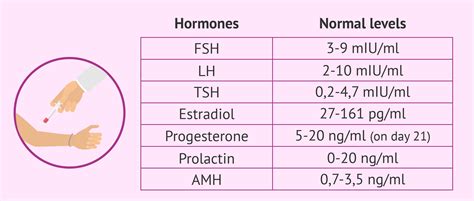 Female Hormone Cycle Chart