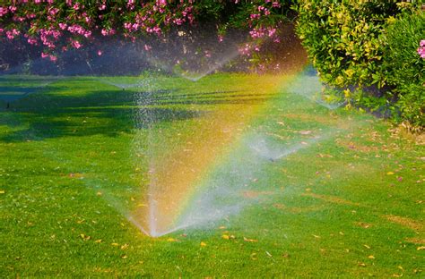 Lawn Irrigation-Watering Tips - ExperiGreen