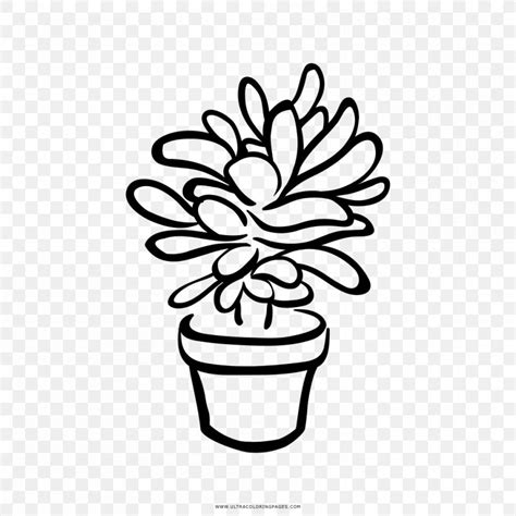 Succulent Plants Clipart Black And White - deeeznuuutss