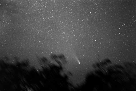 Comet Halley 1986 - Film Astrophotography - Cloudy Nights