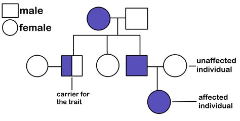 Pedigree Genetics