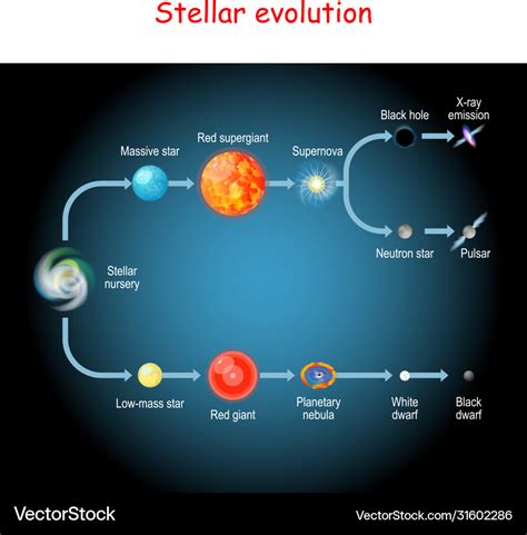 Star Life Cycle Stages Vector Illustration Diagram Star Life Cycle ...