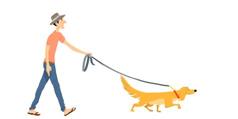 Dog Walker - ClipArt Best