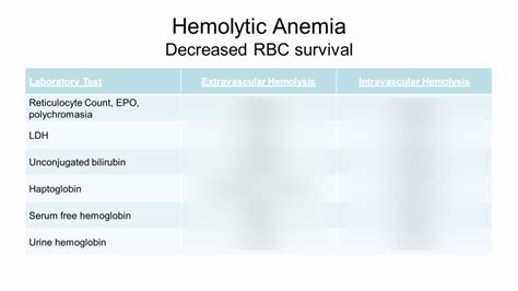 Introduction to RBC Disorders-Hypoproliferative Anemia Diagram | Quizlet