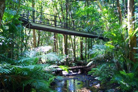 TourHarbor - all tours & activities in Cairns Region