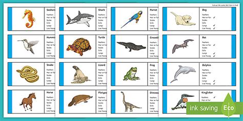 Examples Of Fish Vertebrates