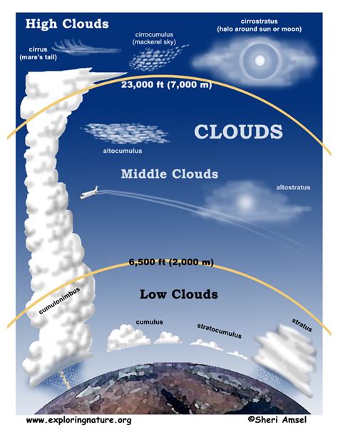 Cumulonimbus Clouds Diagram