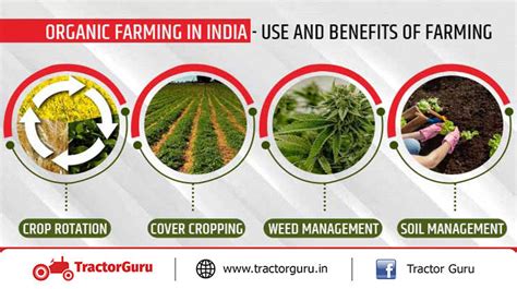 Organic Farming in India - Use and Benefits in Farming