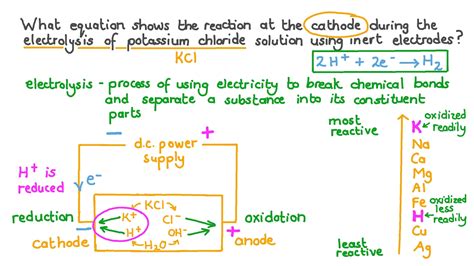 Question Video: Determining the Equation That Shows the Reaction at the ...