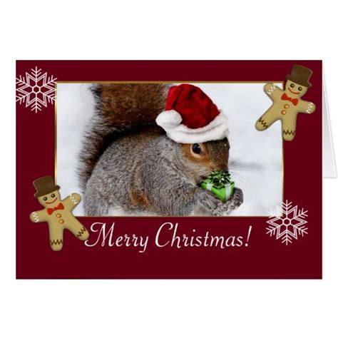 Christmas Squirrel Greeting Cards | Zazzle