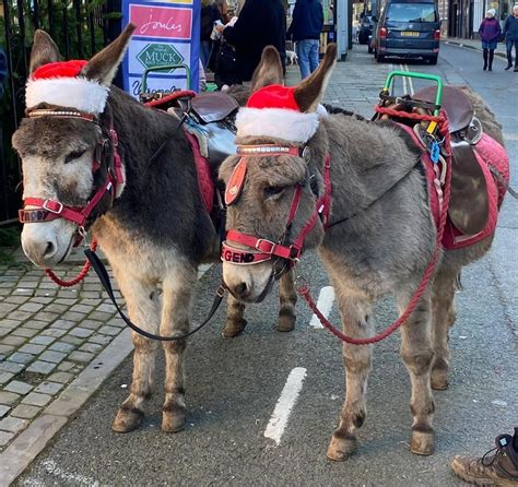 Thousands turn out for Market Drayton Festival of Lights switch-on ...