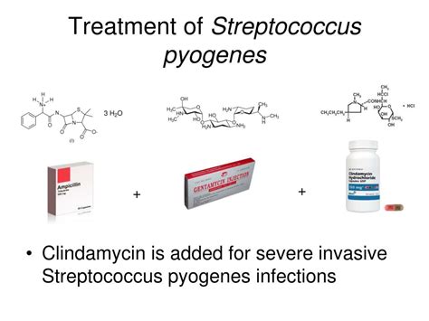 Streptococcus Pyogenes Treatment