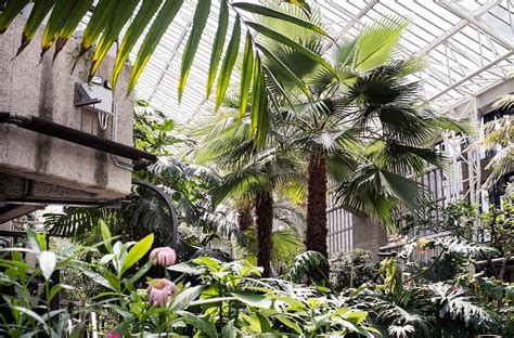 The Barbican Conservatory– Studio Nicholson